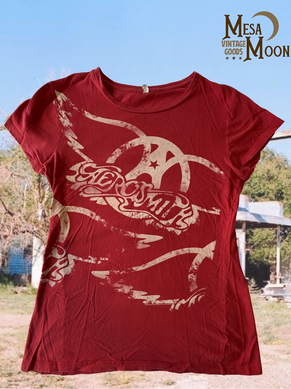 Vintage Aerosmith Graphic Tee